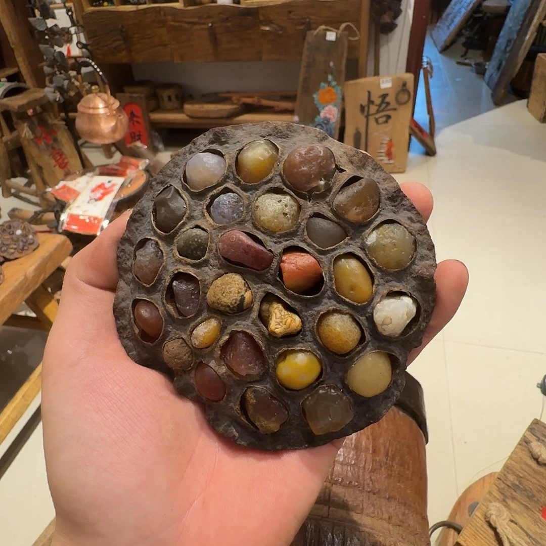 老了就不想了吗我的