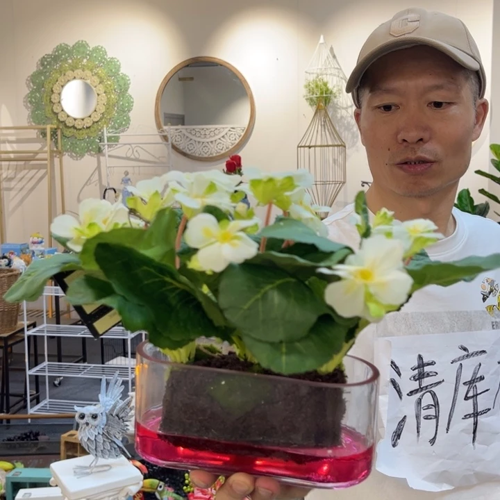 摆件哈哈哈哈哈哈哈哈