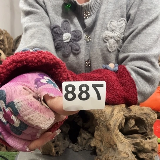 你****行我也不知道我为什么