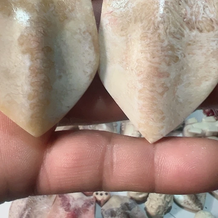 慧***鱼花岗石铁合金养殖鹿骨制作三届牌