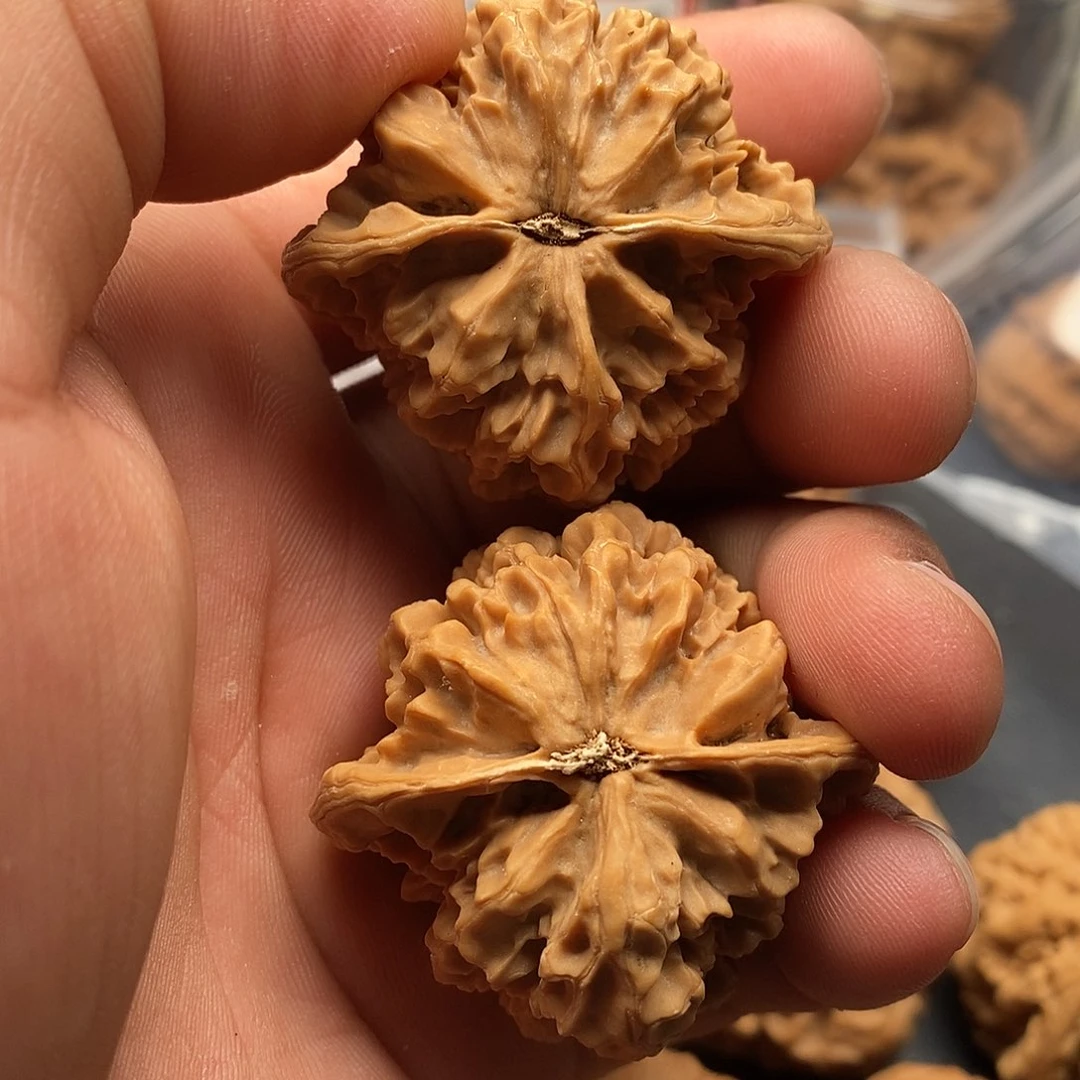 文玩核桃把件0*帝王44