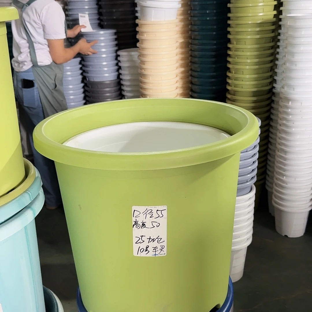 微瑕55带拖果绿2套