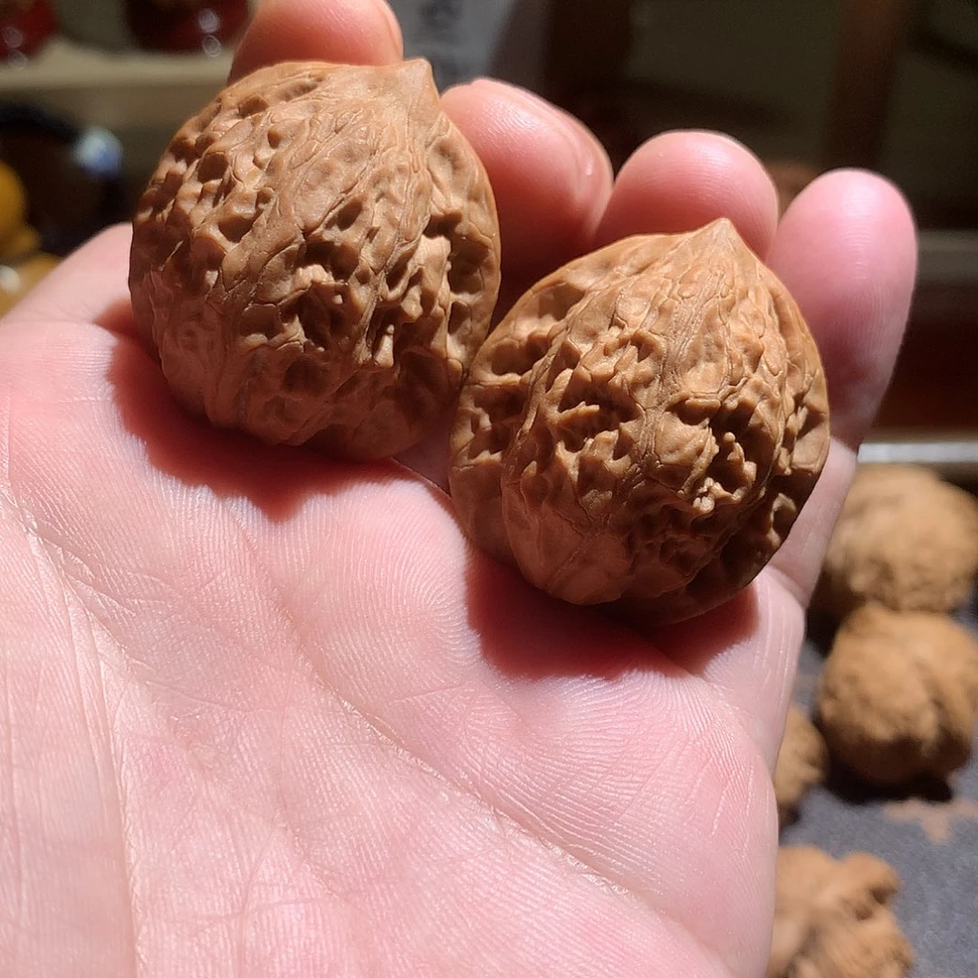 全品无修 野生果31+尺寸