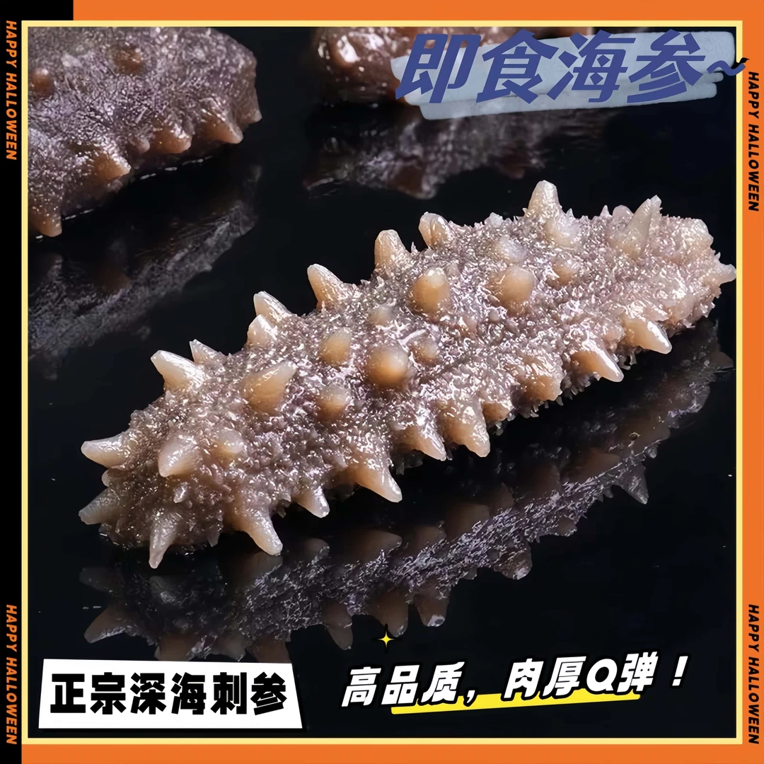 【礁小妹推荐】野生即食海参鲜食口感