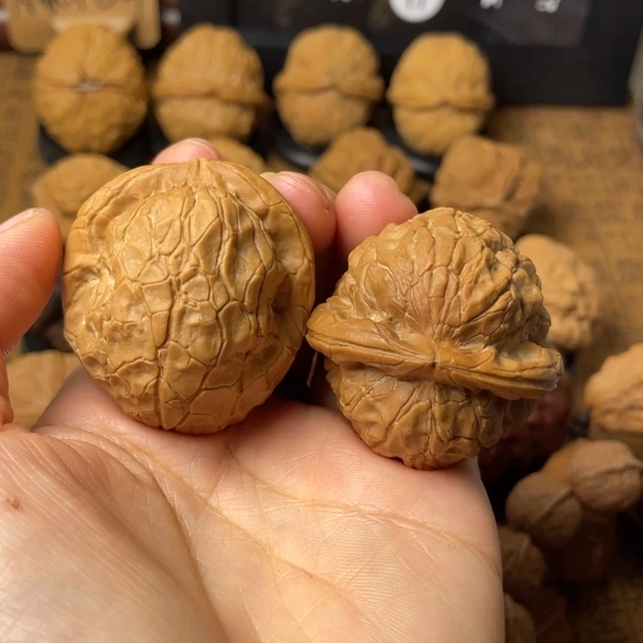 十***子如图所示一物一拍39