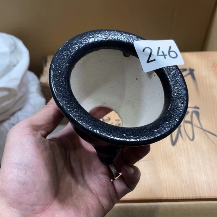茶宠我们都在努力着改变