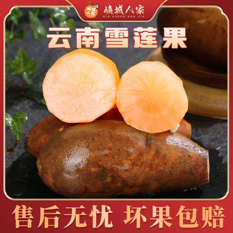【峡城人家】云南雪莲果3/4.5斤装 清甜可口Q