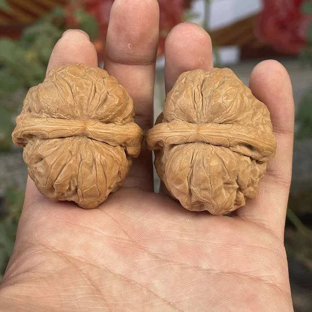 【阿钰推荐】LY10442-核桃蛤蟆头-尺寸40+mm-40+mm