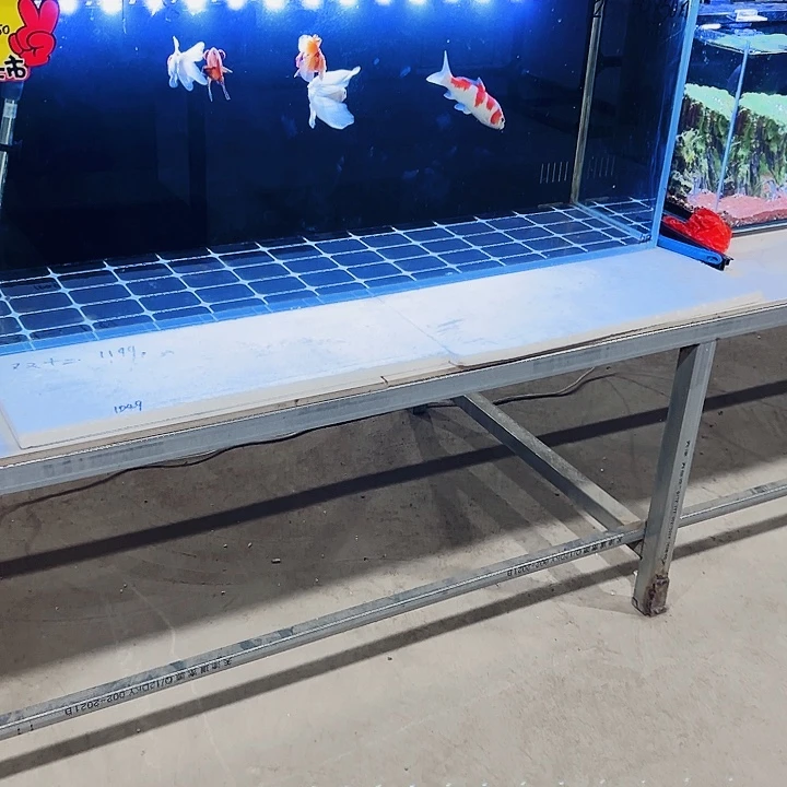 戏***生玻璃120.50.50背双鱼马桶全套配件