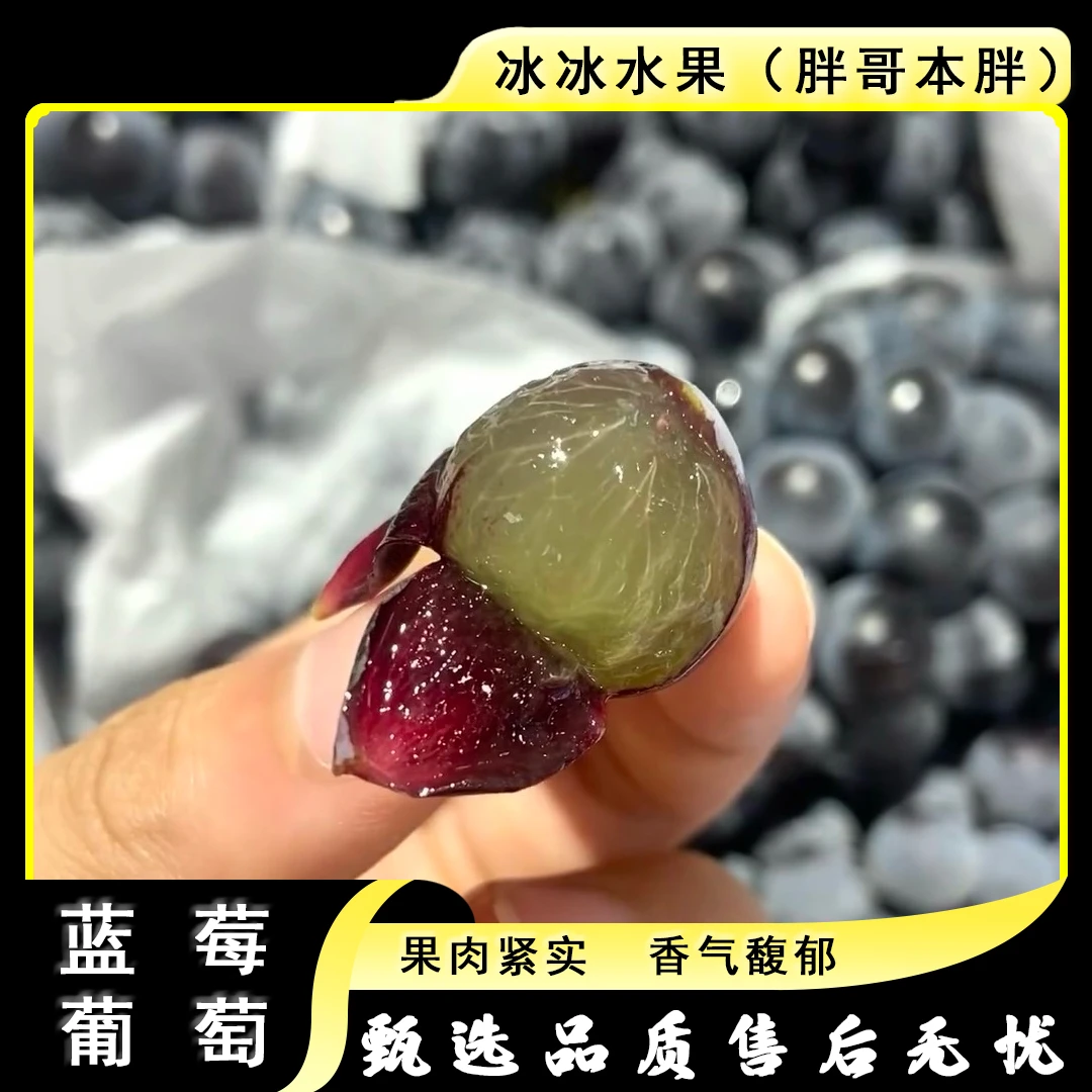 【原箱】[N]新疆蓝莓葡萄 箱/4斤左右 仅限太原晋中吕梁忻州可拍