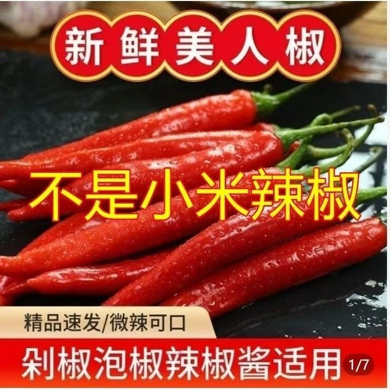 云南新鲜美人椒农家种植现摘现发红辣椒新鲜鲜椒剁椒现货