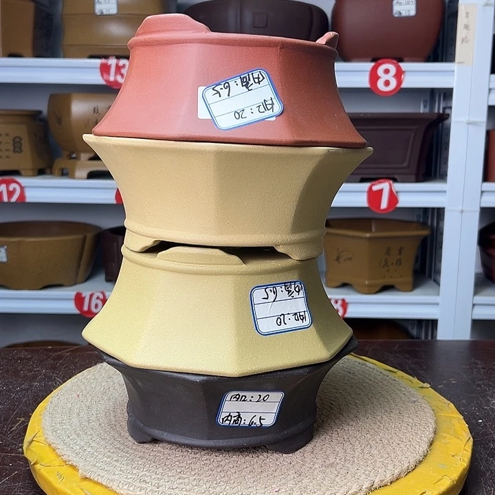 紫砂花盆你在一起