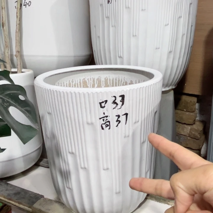两个大号音符33口纯白正常品