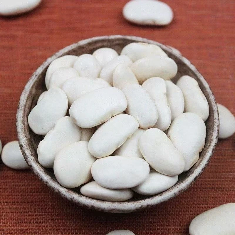 云南农家大白芸豆新货上市营养丰富的五谷杂粮干货