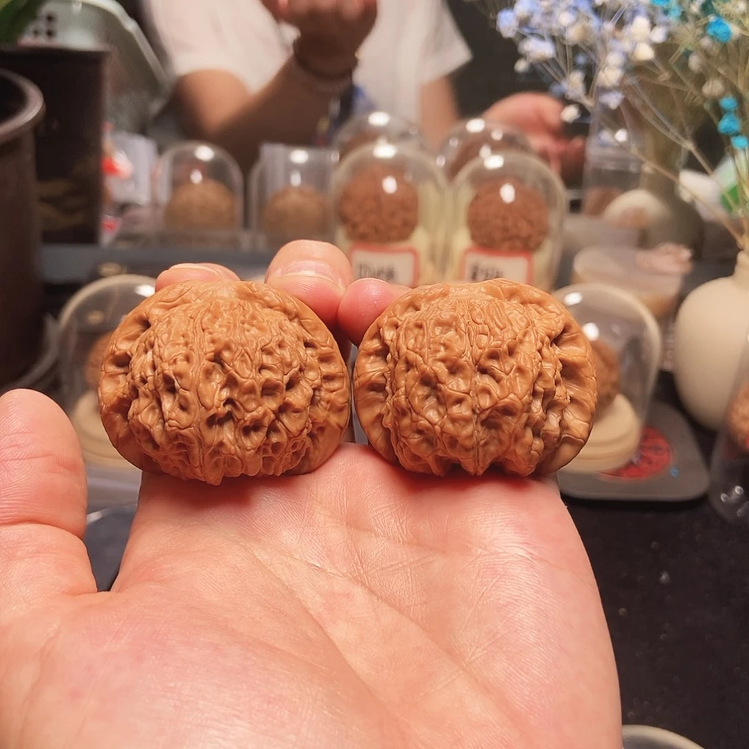 45血麒麟狮子头精打底
