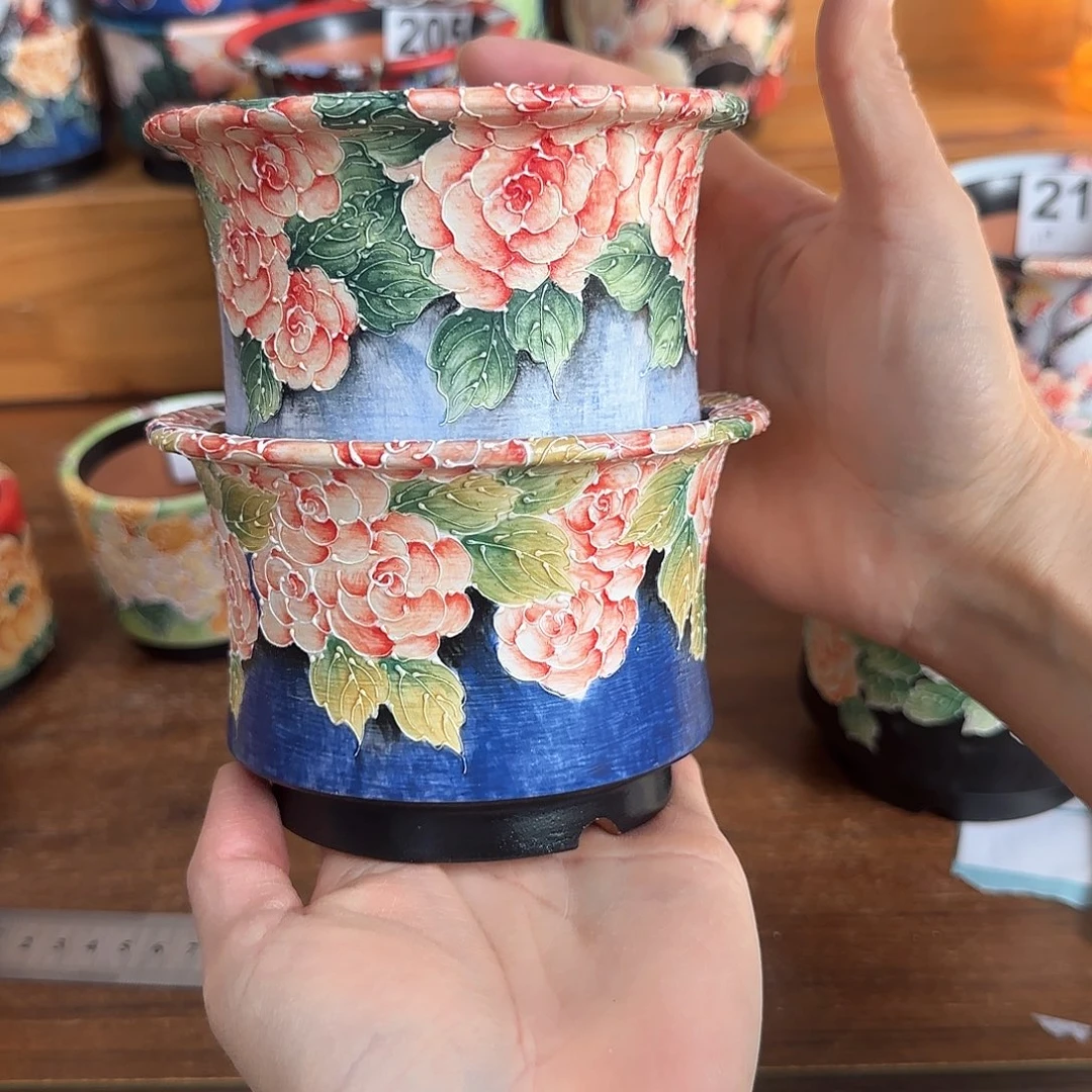 红陶九**五59666969999666