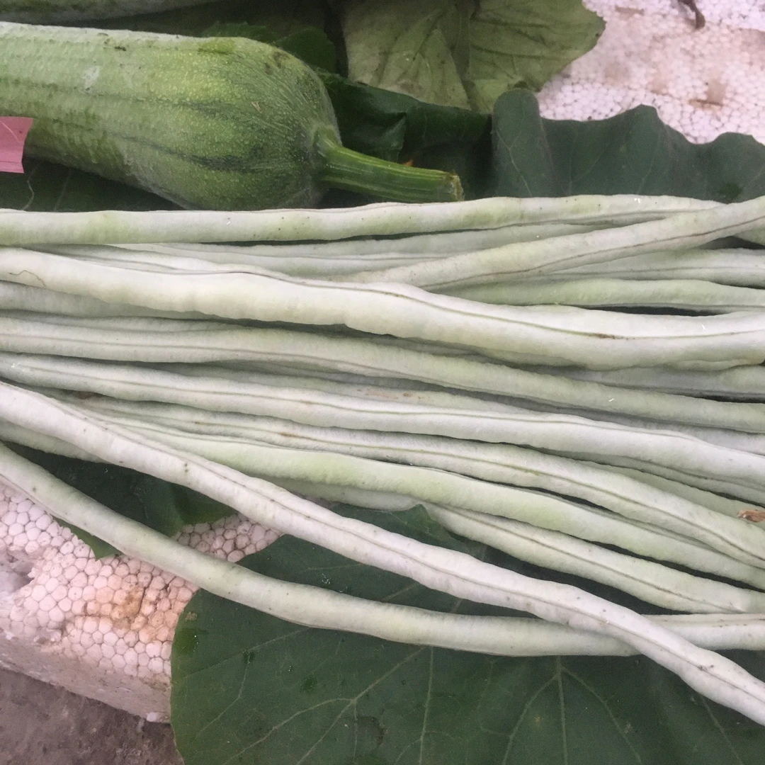 【白豇豆】贵州山货农特产蔬菜豆等1斤起