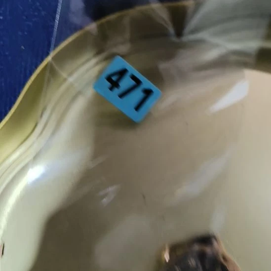 粤***由民俗文化研究研究