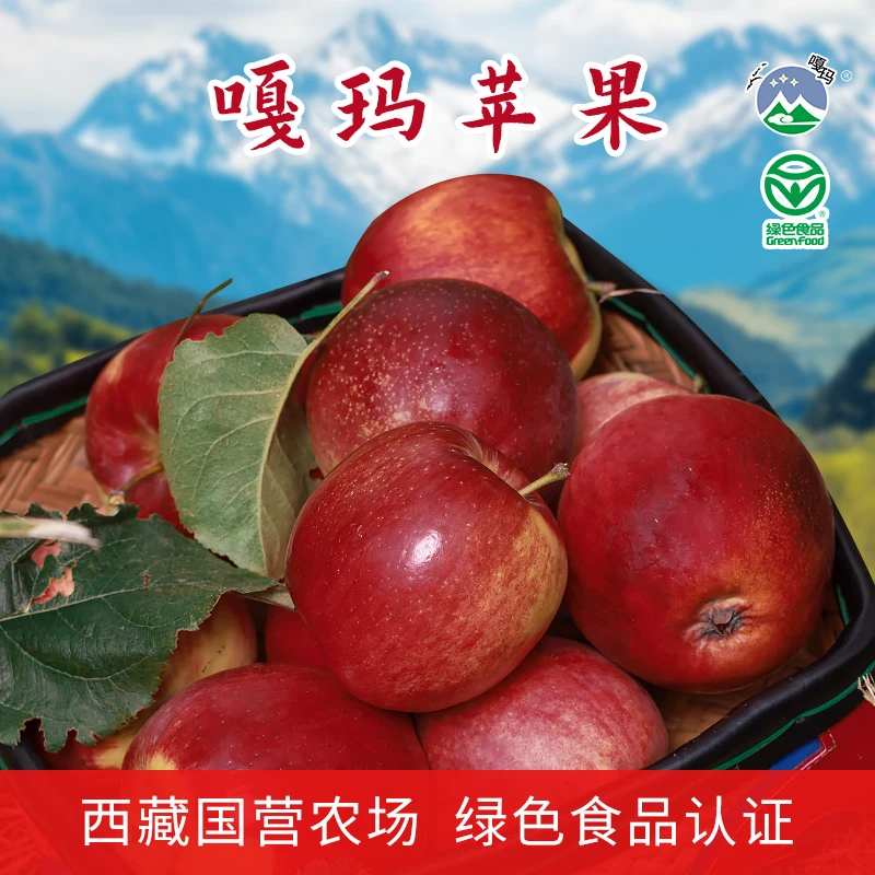 西藏林芝嘎玛农场苹果高原红脆甜多汁现摘现发