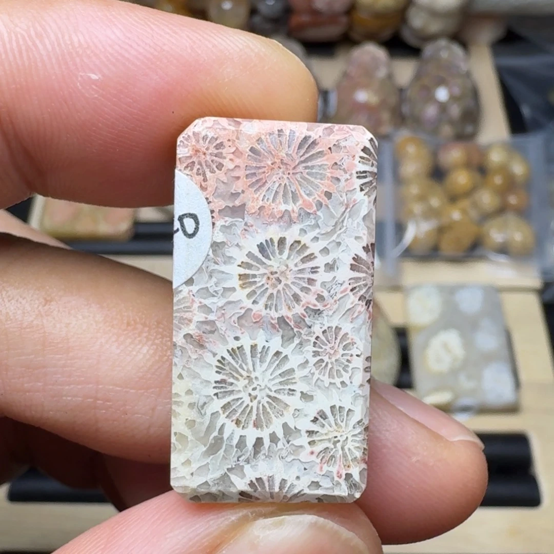 硅化珊瑚（珊瑚玉）未镶嵌纯天然色有机玉石保真色瑕疵特价不退换