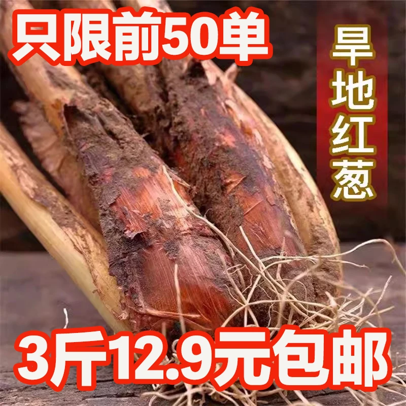 正宗新鲜甘肃旱地红皮葱农家新鲜大葱适合炖肉炒菜炖汤批发肉包