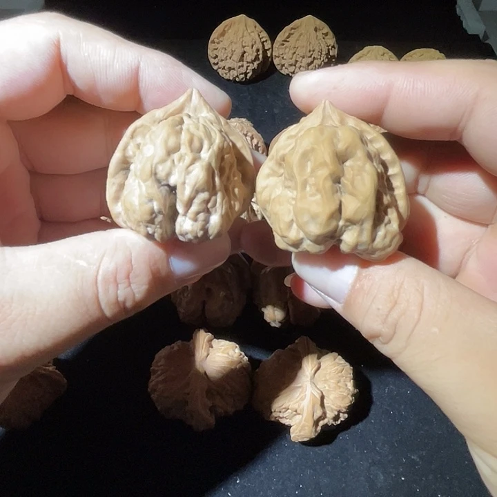 核桃核桃核桃核桃核桃