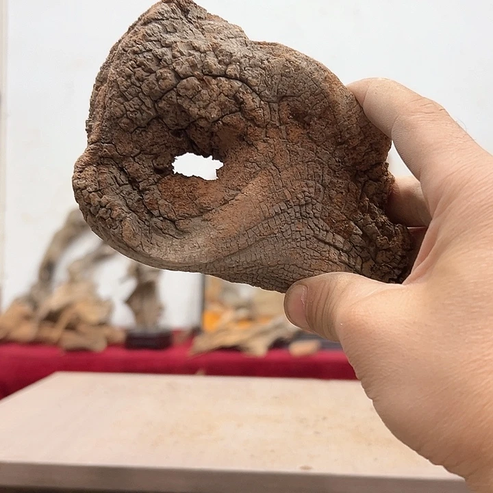 柏木石**味我们都是好孩子啊