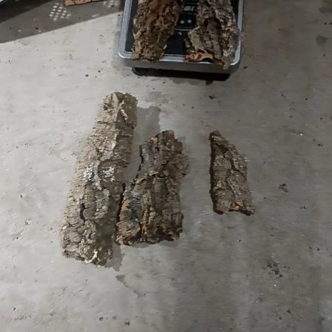 黄****️一物一拍一物一发