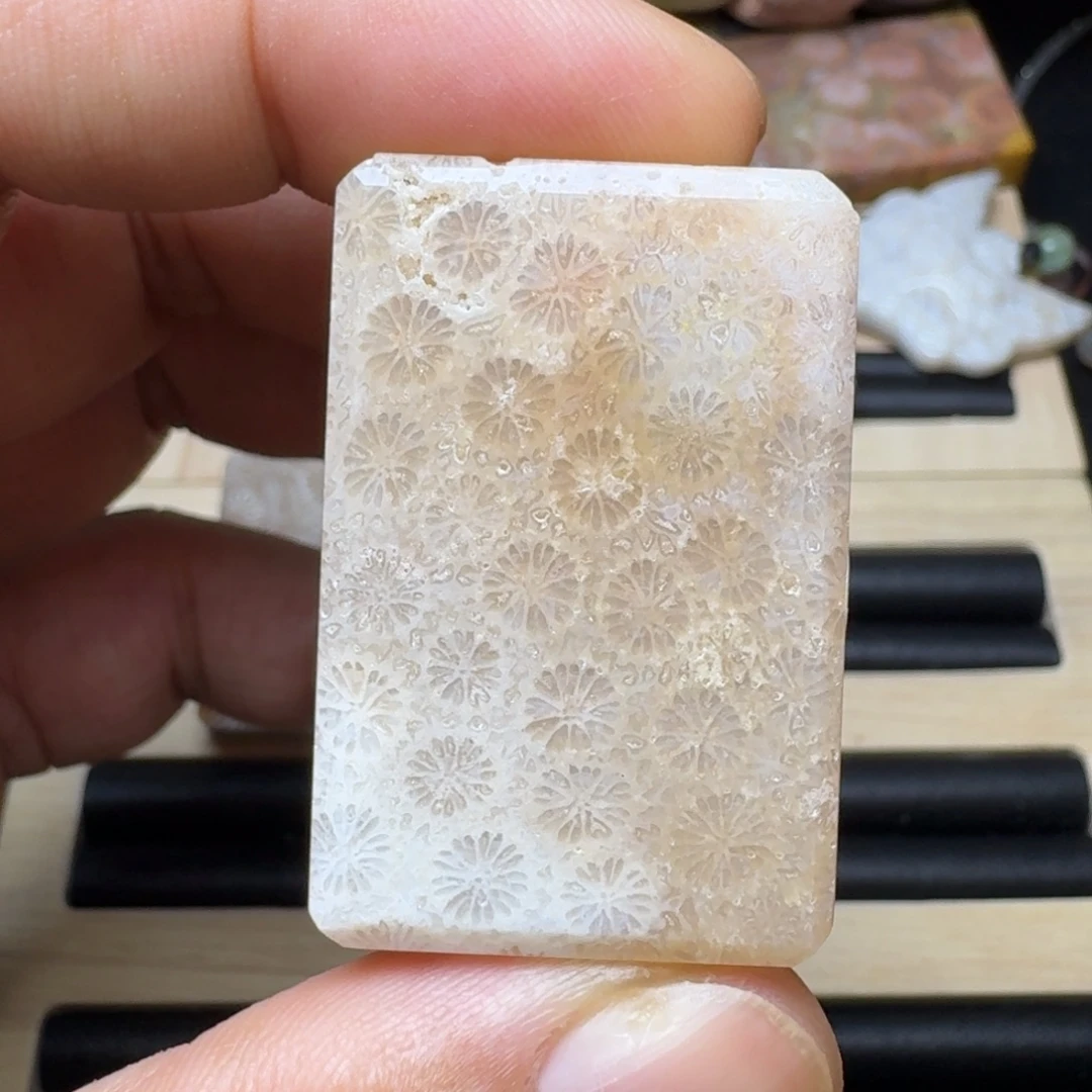 未镶嵌纯天然色有机玉石保真色硅化玉