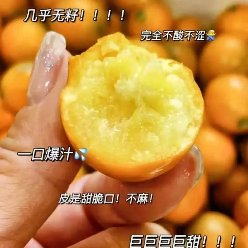 云南纯田脆皮金柑一盒装