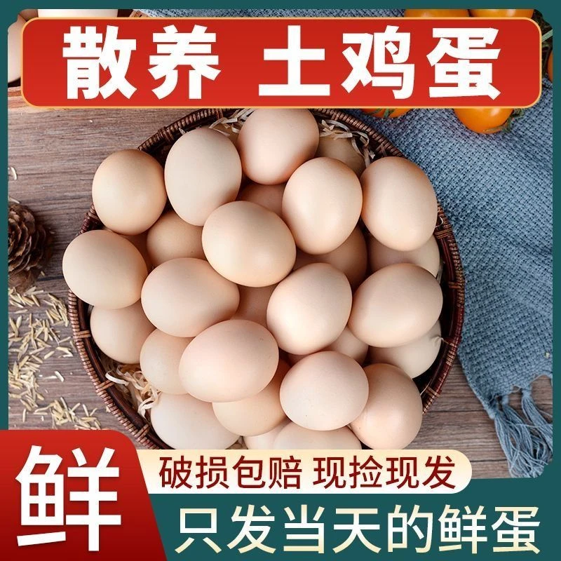 【买30送20】50枚农家新鲜散养土鸡蛋农村鸡蛋现捡整箱40-50克/枚