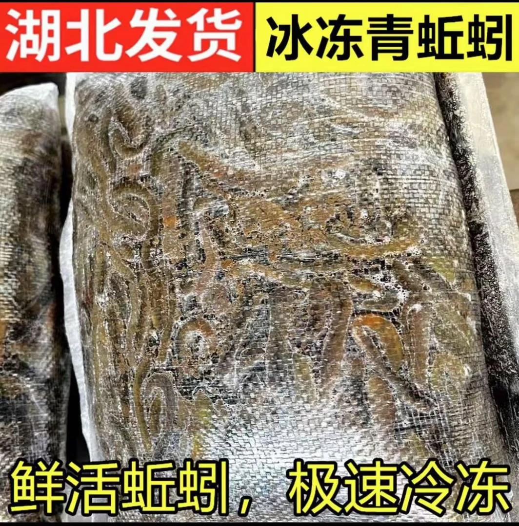 湖北冰冻青黑蚯蚓黄鳝网笼专用诱饵养殖黄鳝开口料