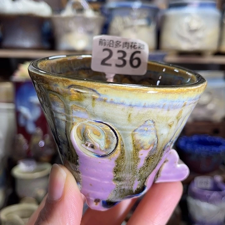 狼盆内口径6高度6