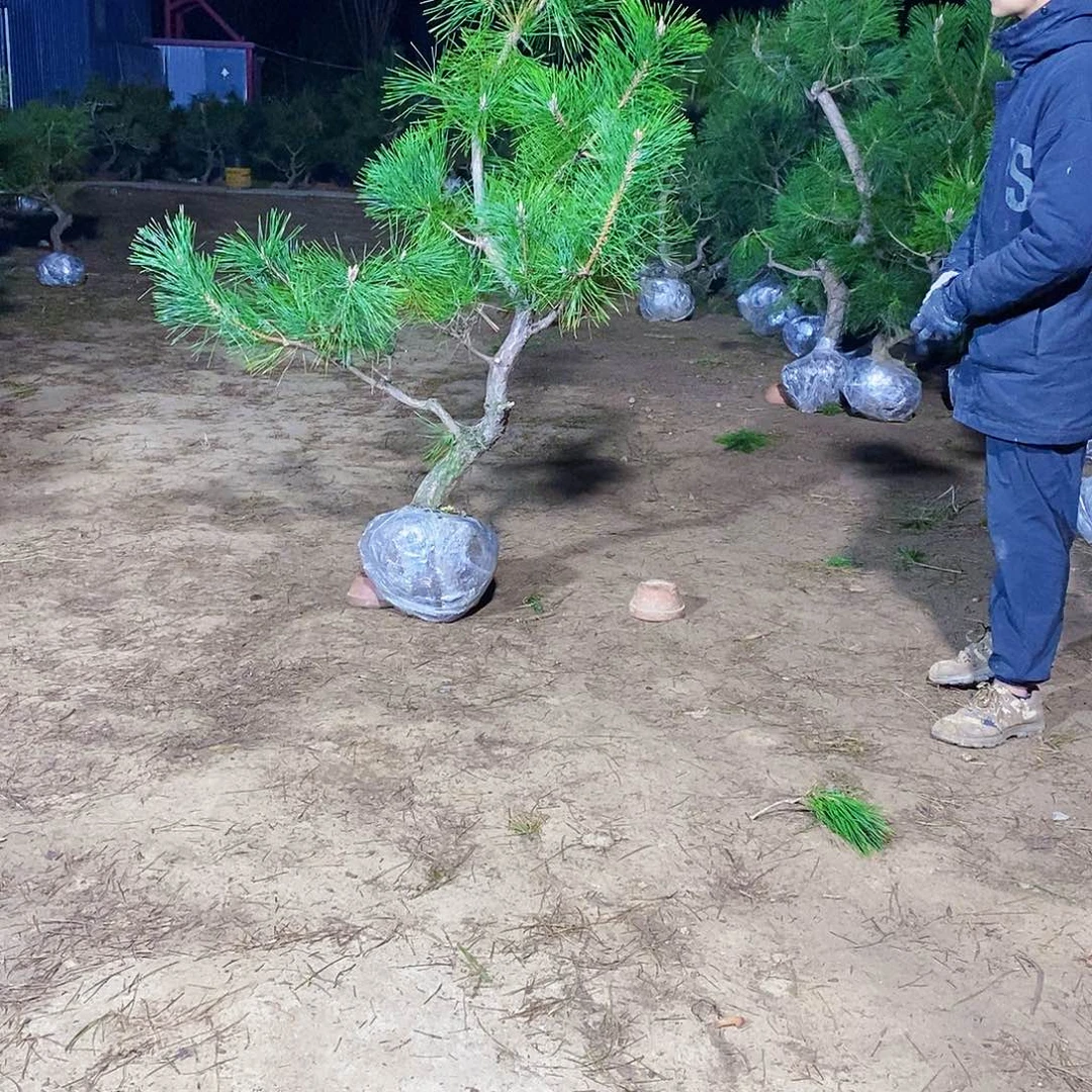 有***波完全开放1111111111111