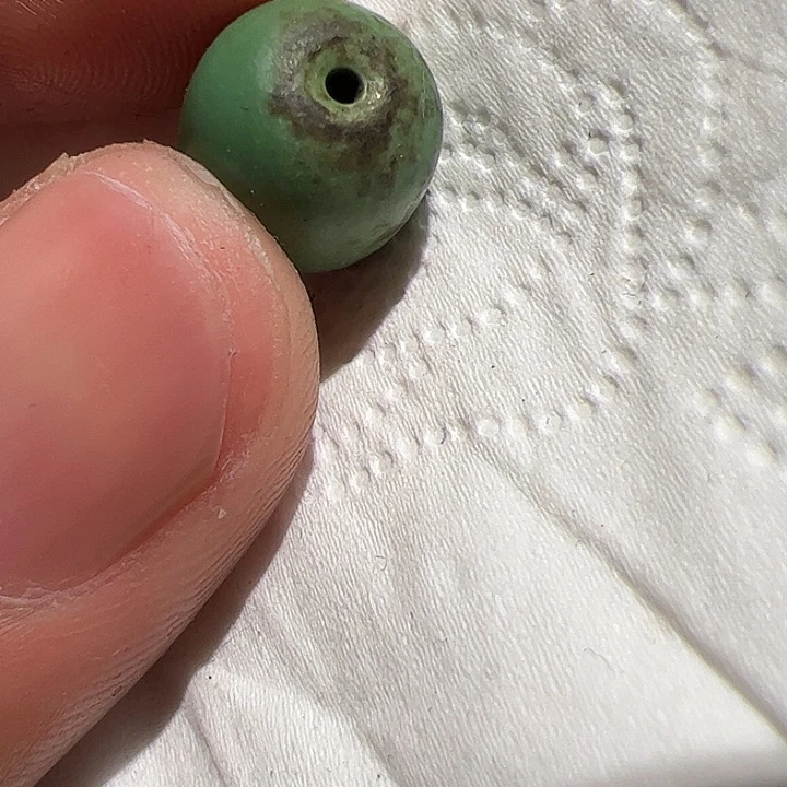 香榧木你的时候你