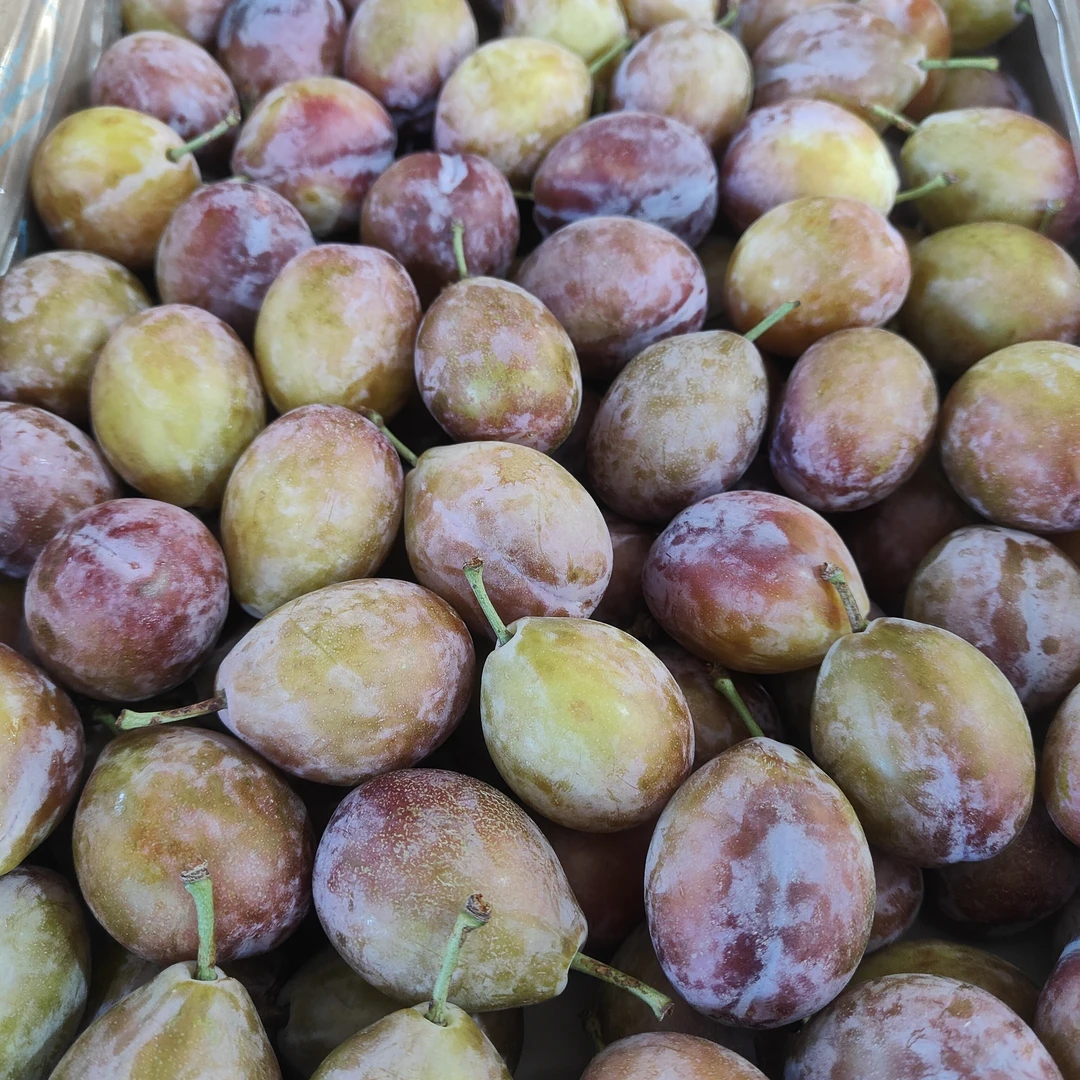 西梅/一份1斤左右