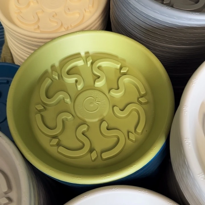 240托盘果绿20个➕300托盘果绿5个