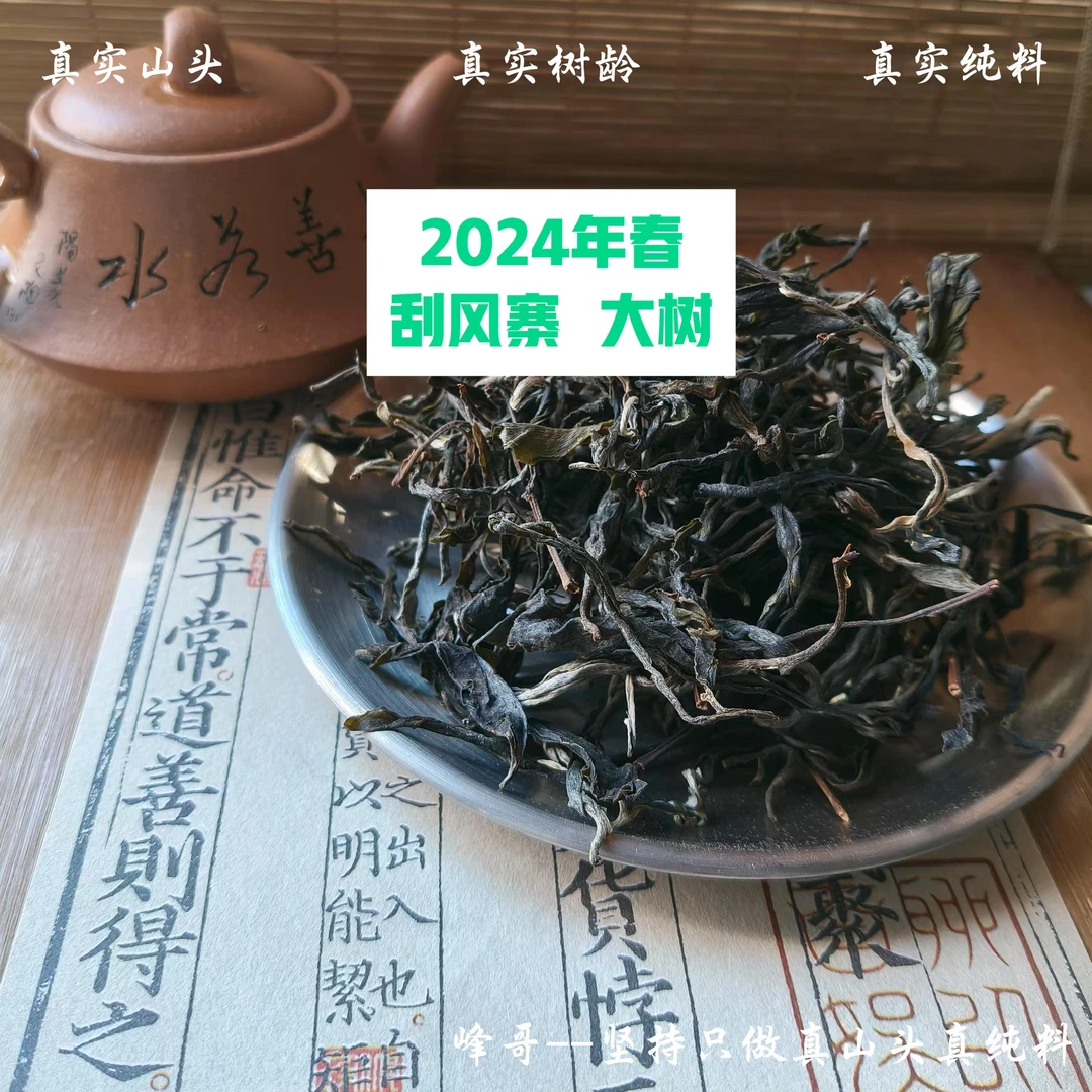 脉润峰〖峰哥保真〗刮风寨 大树纯料 24年春 普洱生茶100克