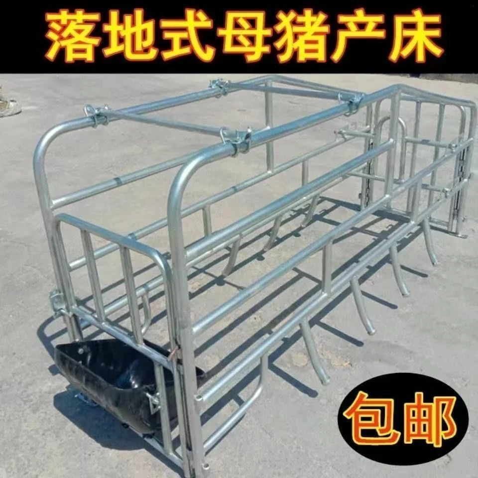 家猪专用落地式产保保育一体两用分娩限位母猪设备养猪养殖设备
