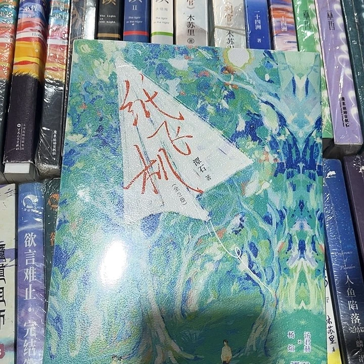 纸飞机全新正版两本带刷边