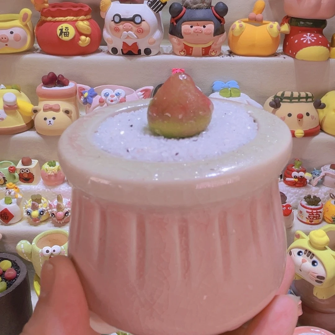 01灯泡连盆带土包邮