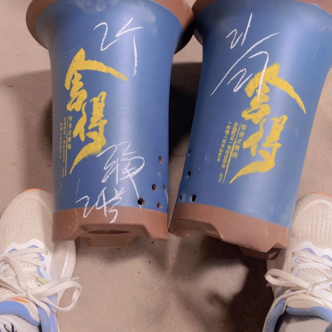 24………………………………………………………………