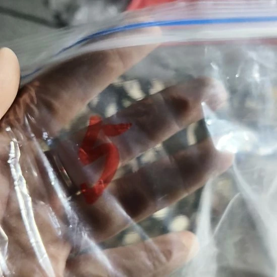 『***』鹿角鹿角鹿角鹿角鹿角鹿角