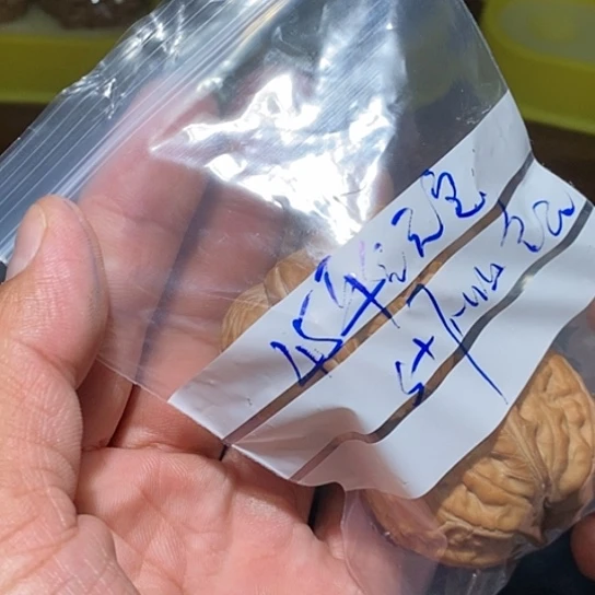 【闪购商品】吊坠文玩核桃噜****嘞