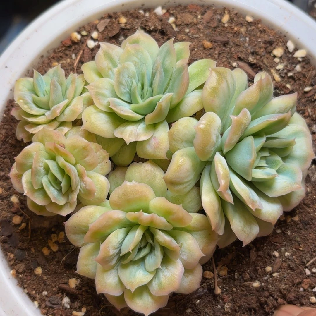 拾*?哈哈哈哈哈哈哈哈哈哈