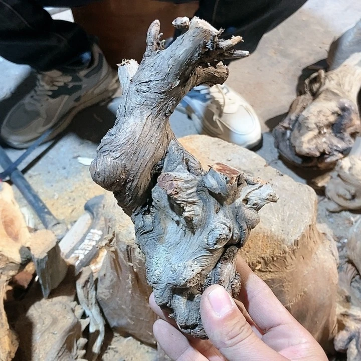 柏木平**士太行山区柏木木