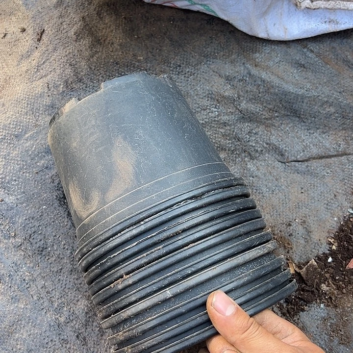 加仑盆口径15高12发16个