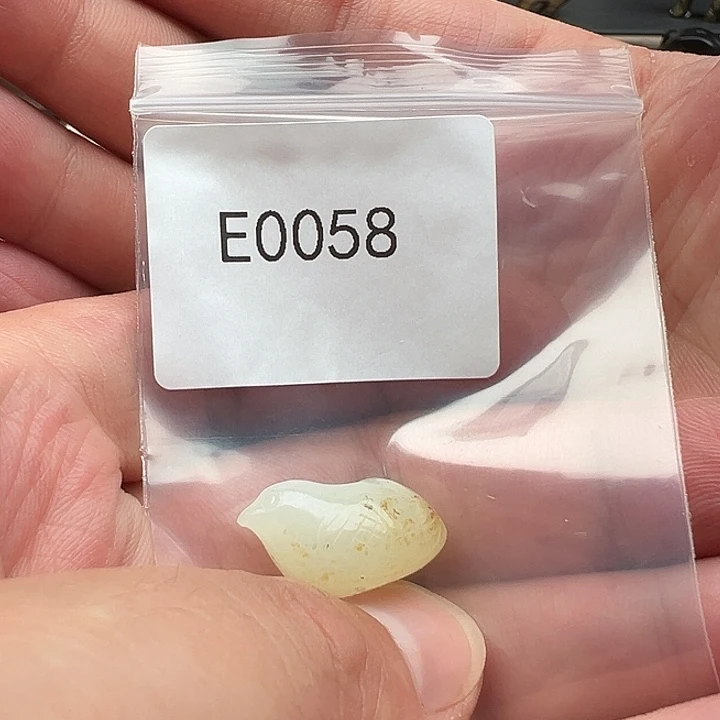 未镶嵌和田玉（糖玉）珠宝半成品