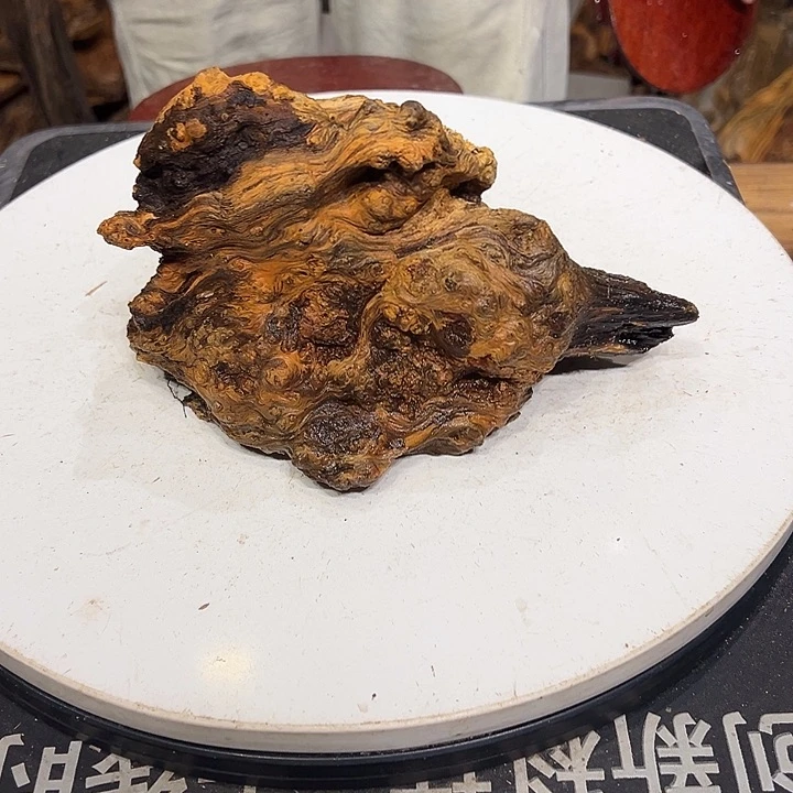 松木（琥珀木）木***人