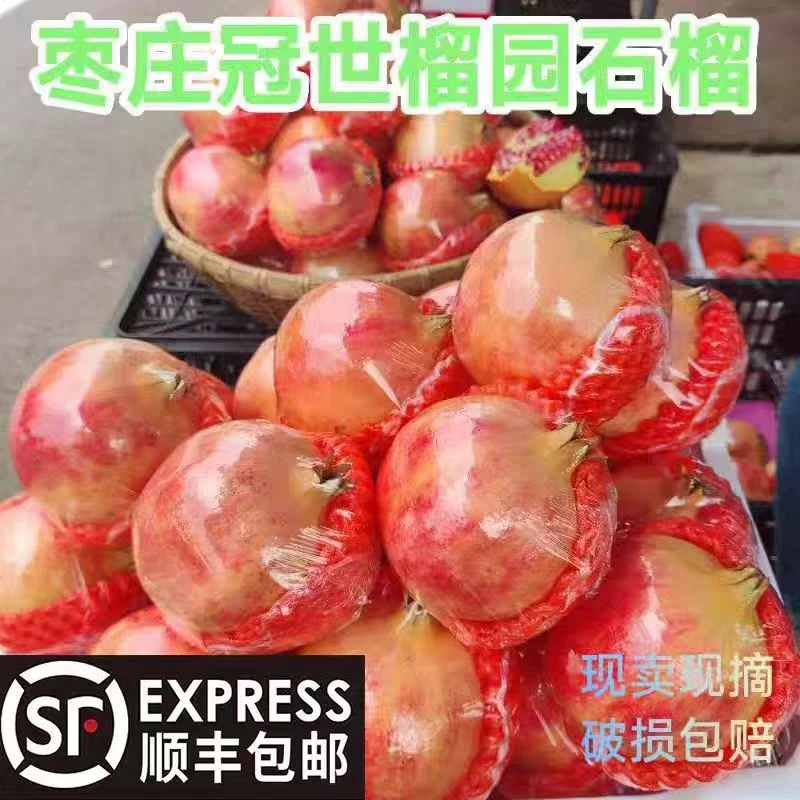 软籽大果石榴甜度高口感好5斤10斤枣庄冠世榴园突尼斯软籽石榴